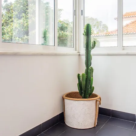 Elegant In With Fireplace - 80 M² Apartamento